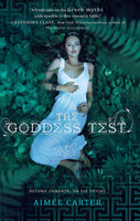 Cover image for The Goddess Test